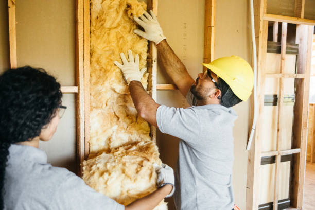 Professional Insulation Contractor in Galliano, LA