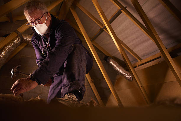 Best Blown-in Insulation  in Galliano, LA
